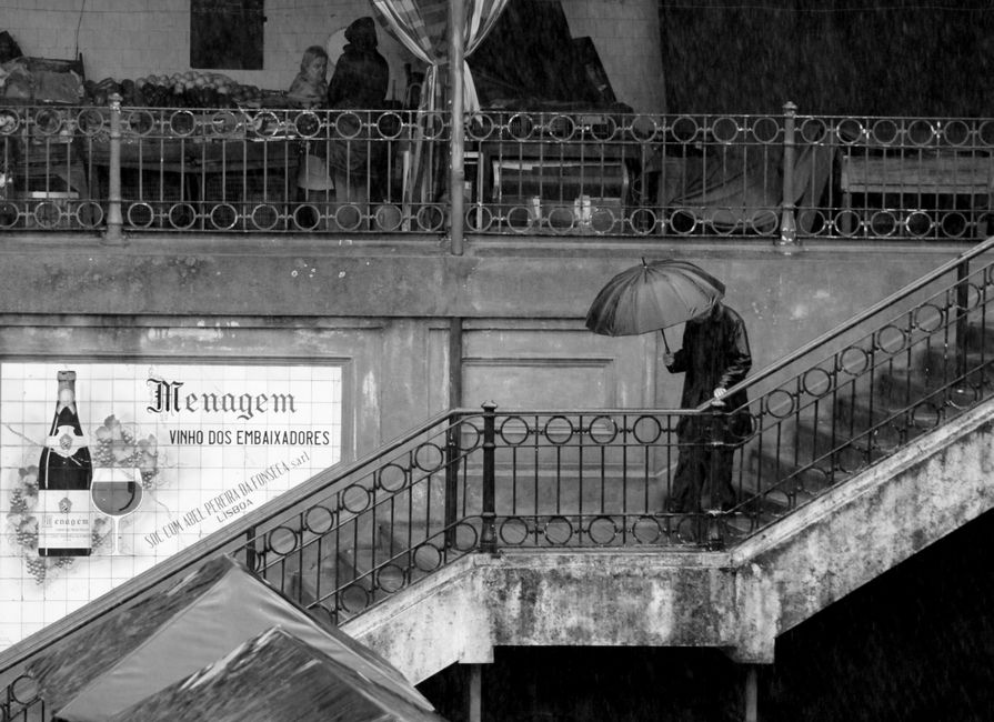 A Rainy Week in Lisbon and the Case for Staying Put
